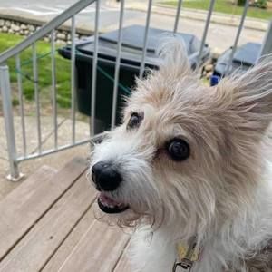 Meet your Posher, Janine